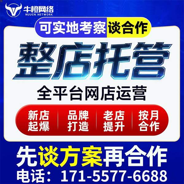 七台河电商代运营