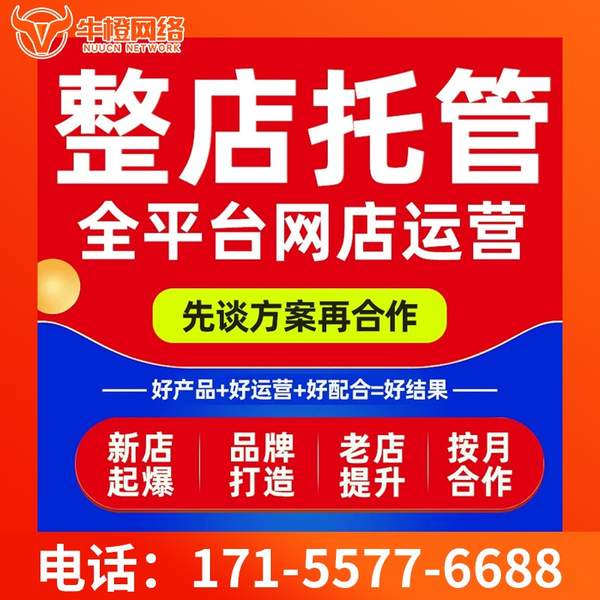 七台河电商代运营